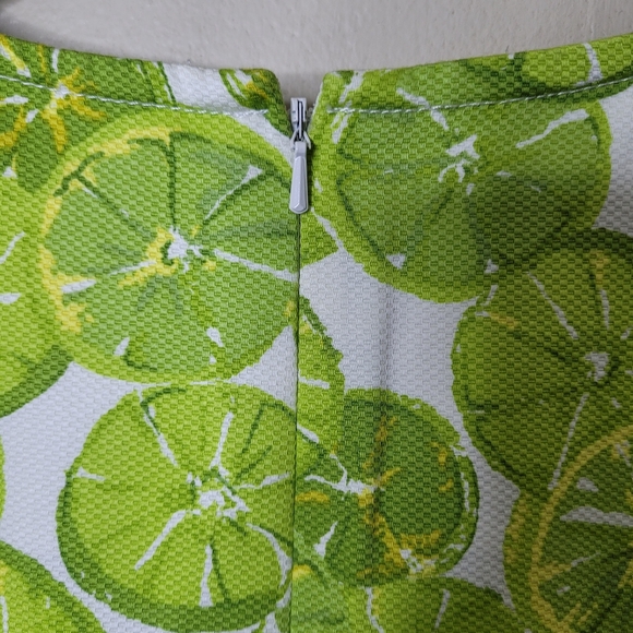 Talbots Petite All Over Lime Print Dress Stretch Twill Summer Vacation Size 10P - Picture 6 of 8